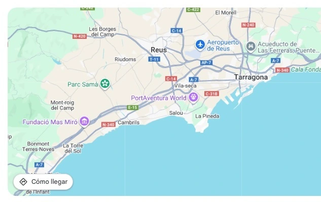 Terapias Holisticas Péndulo en Tarragona-España